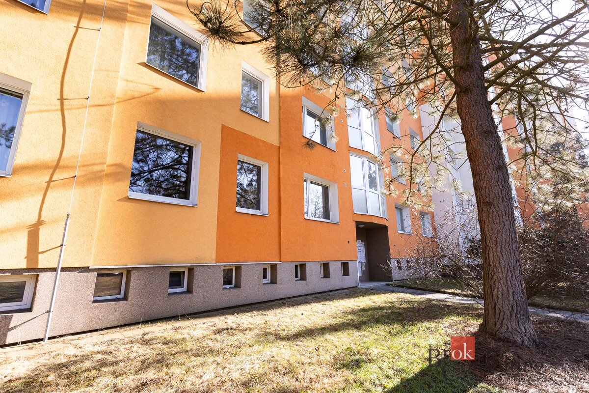 Prodej, byty/2+1, 61 m2, Ledecká, 32300 Plzeň, Plzeň-město [ - 15