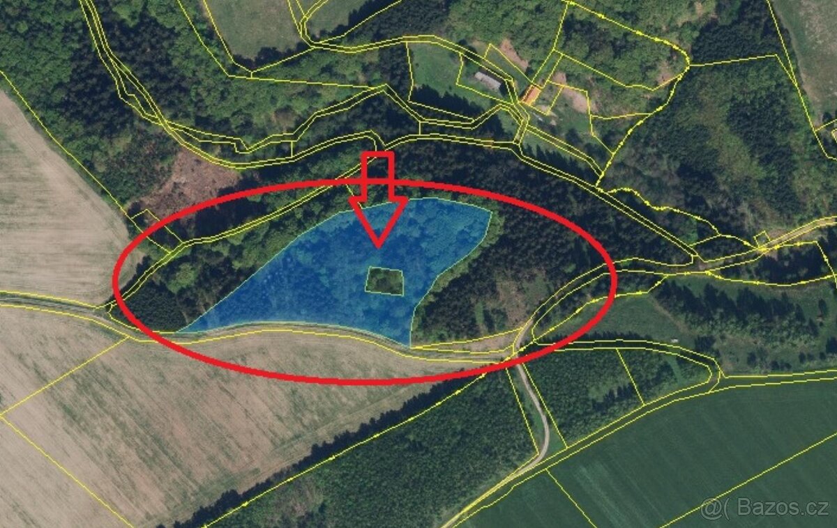 Prodej lesního pozemku v k.ú. Liberk - 15