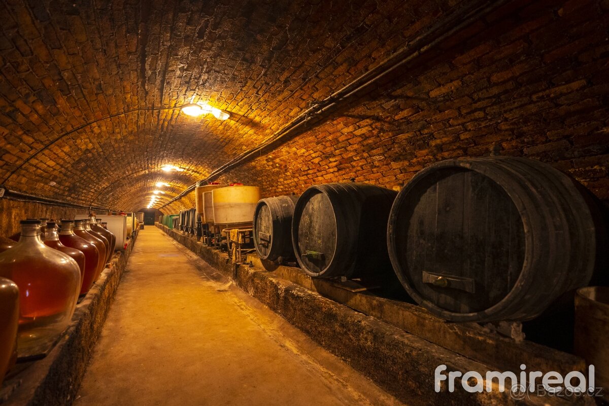 Prodej, Restaurace, 1593 m² - Šatov, ev.č. 00652 - 15