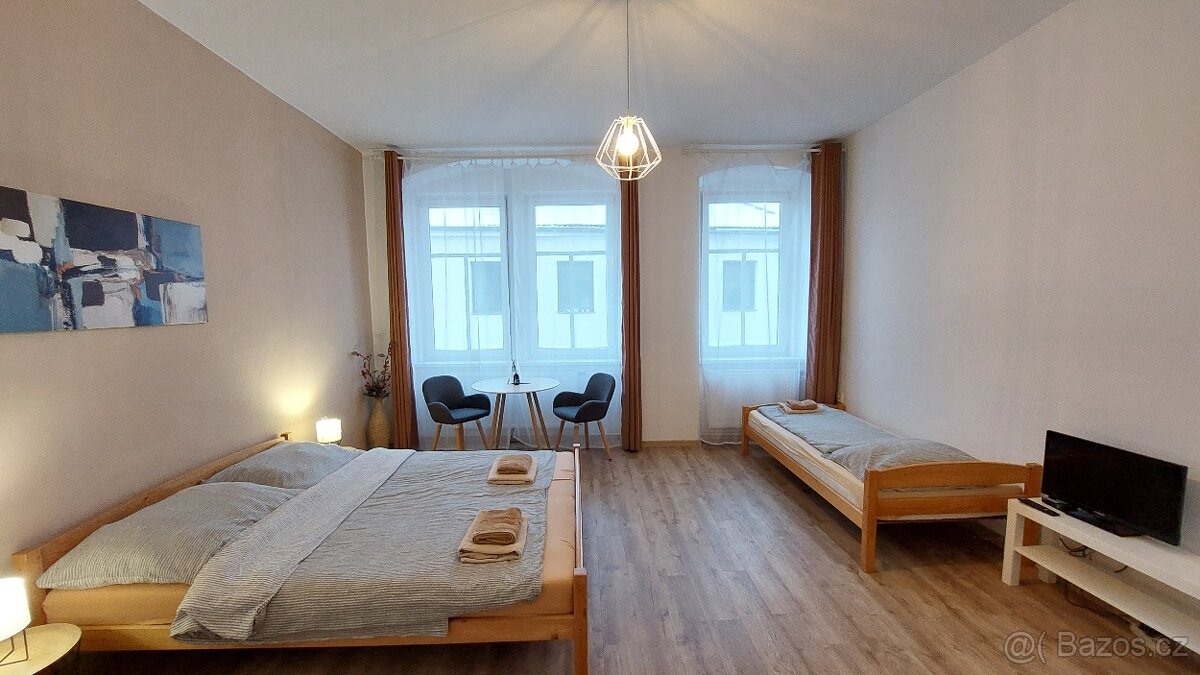 Dům s penziónem a obchodem na náměstí v Horní Plané - 15