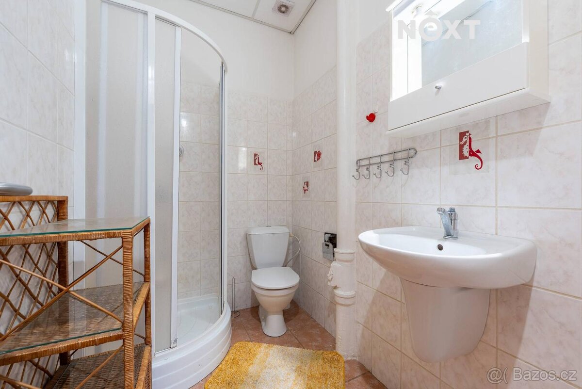 Prodej komerční Obchodní prostory, 370㎡ - 15