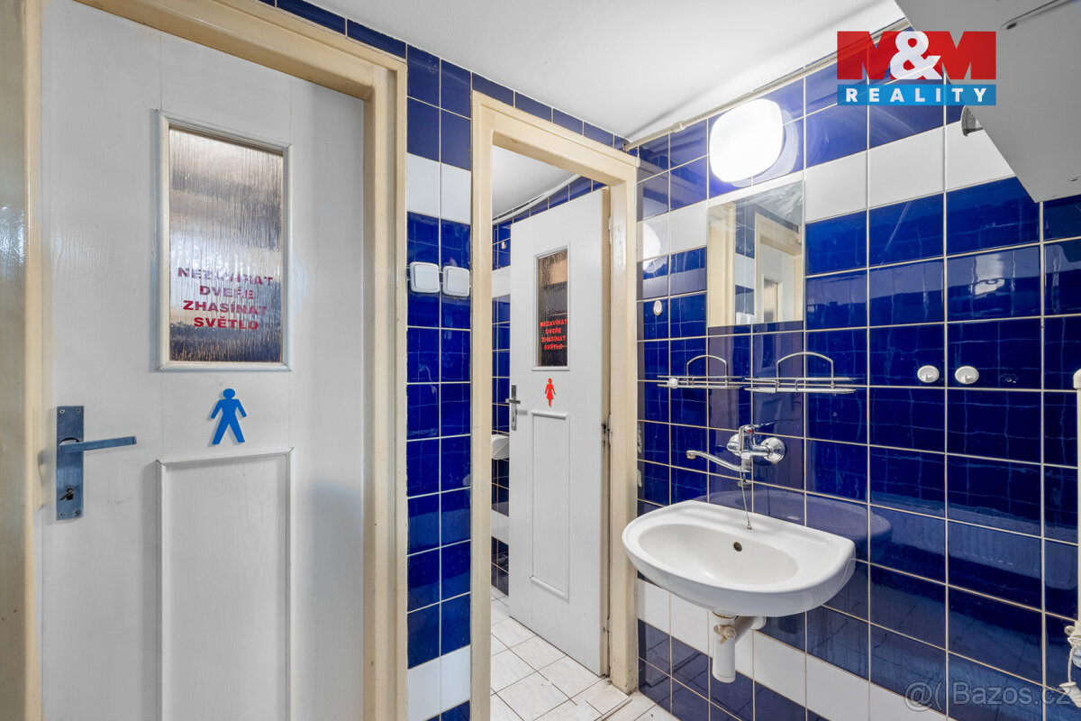 Pronájem multifunkčního objektu 350 m² s pozemkem 1658 m² - 15