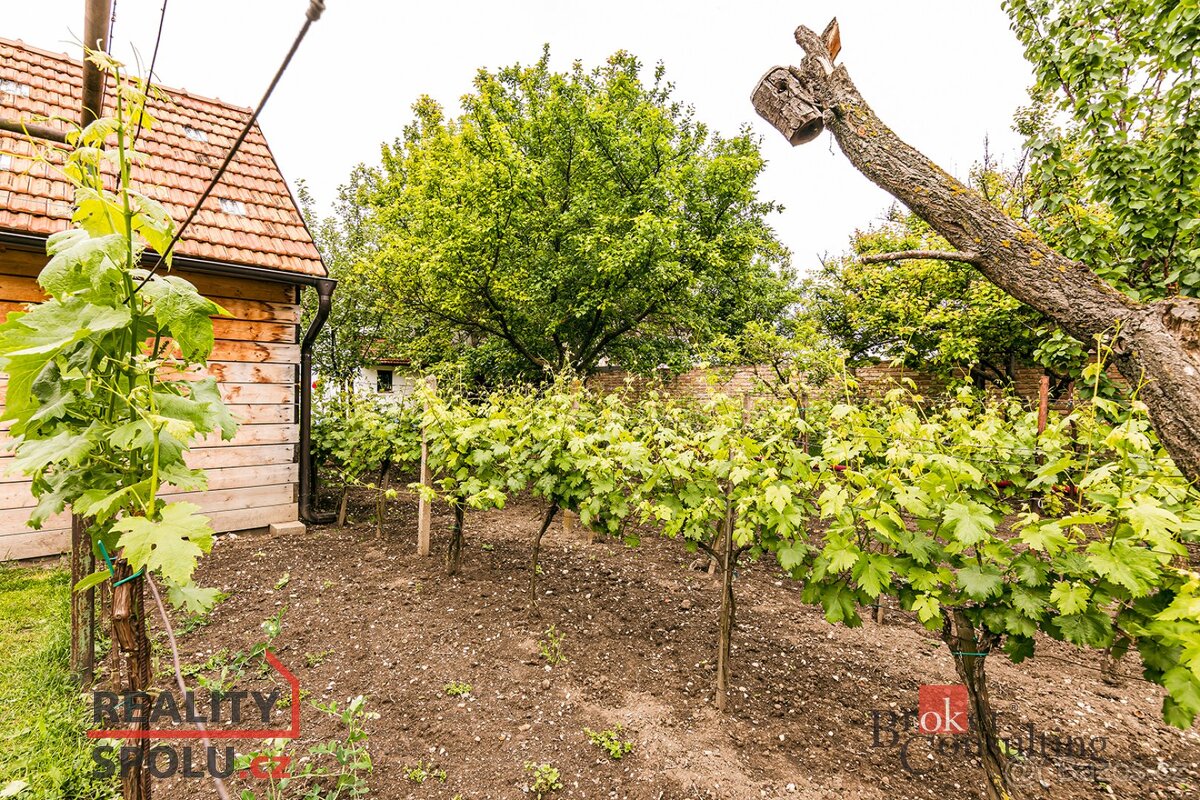 Prodej, domy/rodinný, 403 m2, 69186 Perná, Břeclav [ID 69497 - 15