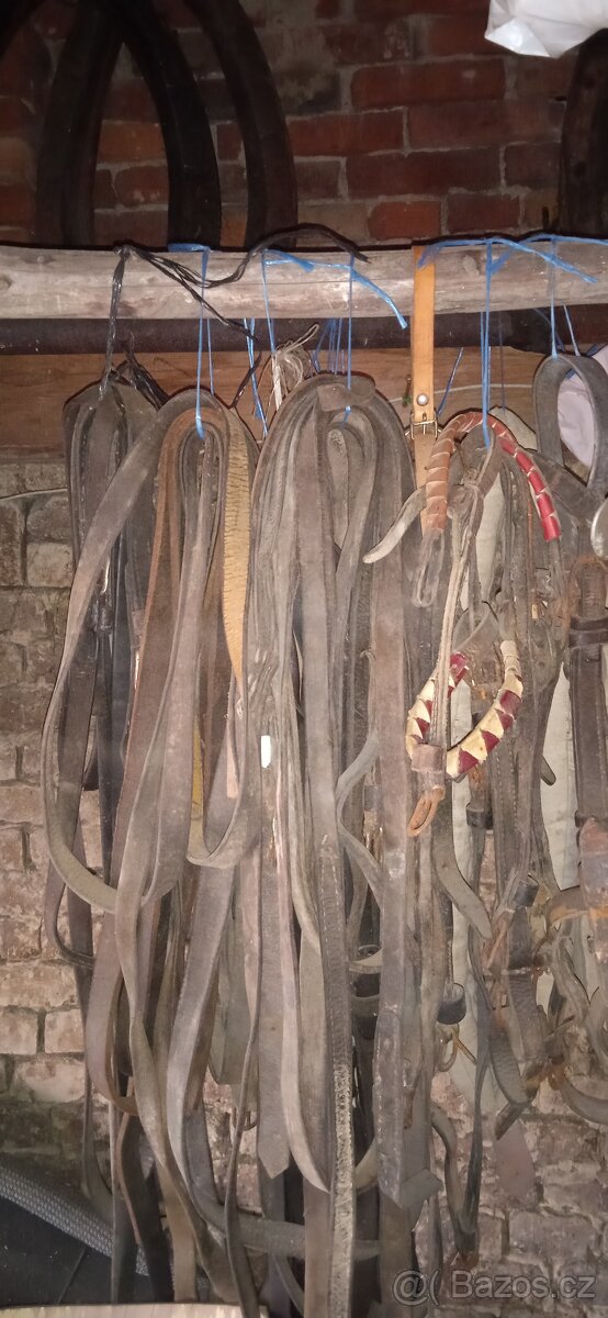 Prodám chomouty,podušky ,postroje - 15