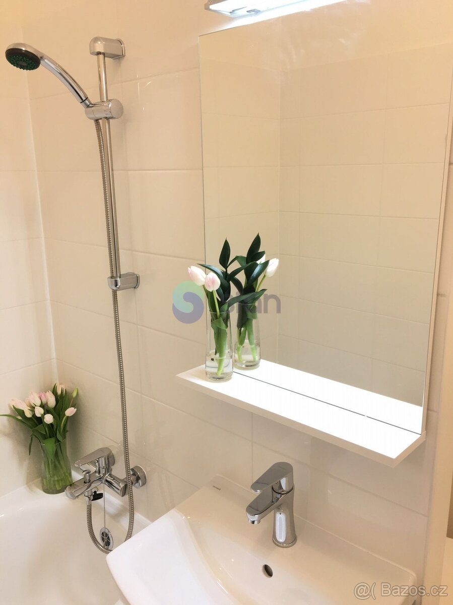 Podnájem bytu 2+1 44 m2, ul. Jaroslava Misky 68/4, Ostrava - - 15