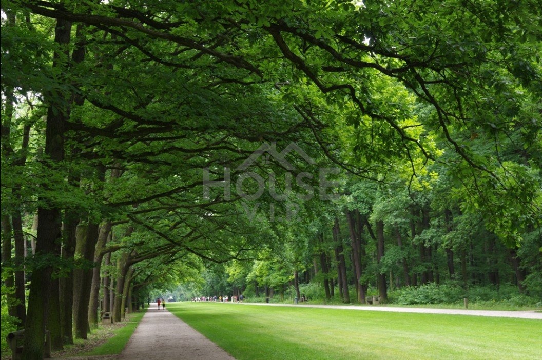 Prodej bytu 3+kk po rekonstrukci, se zahradou, Praha 6 - Ruz - 15