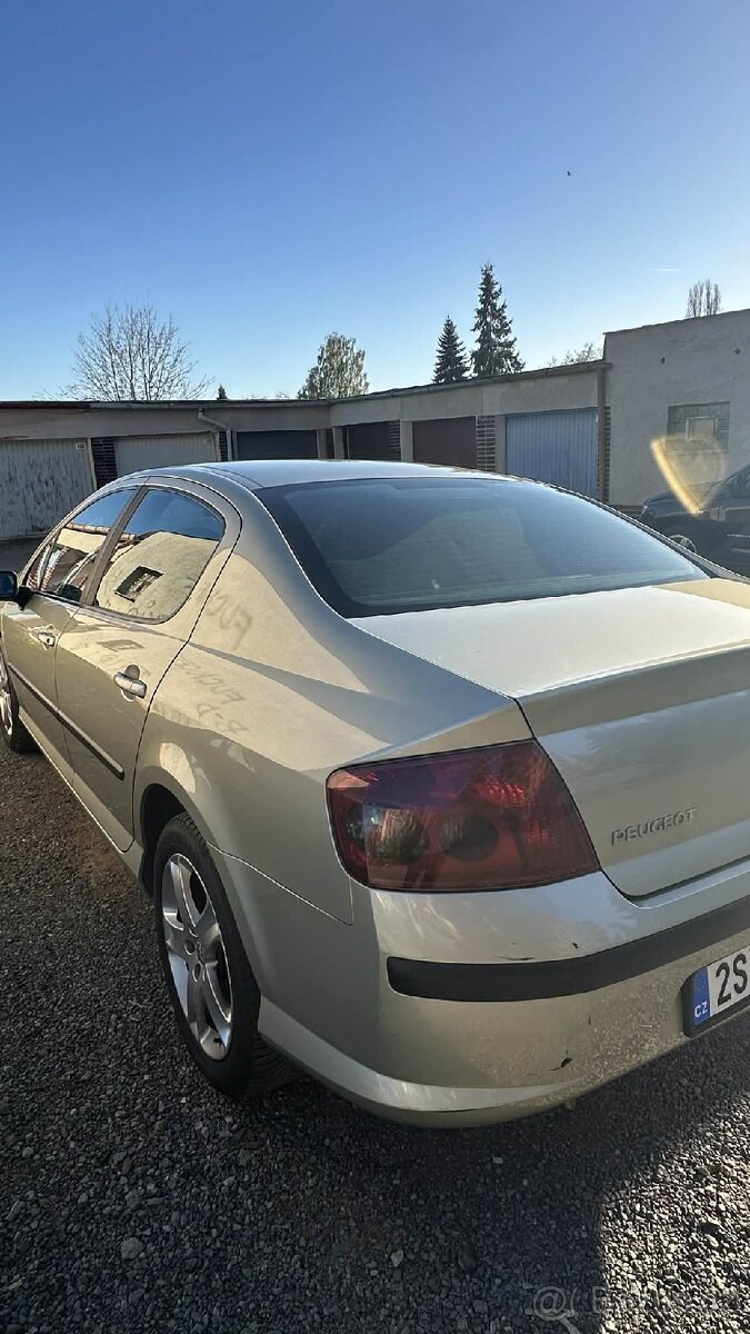 Peugeot 407 - 15