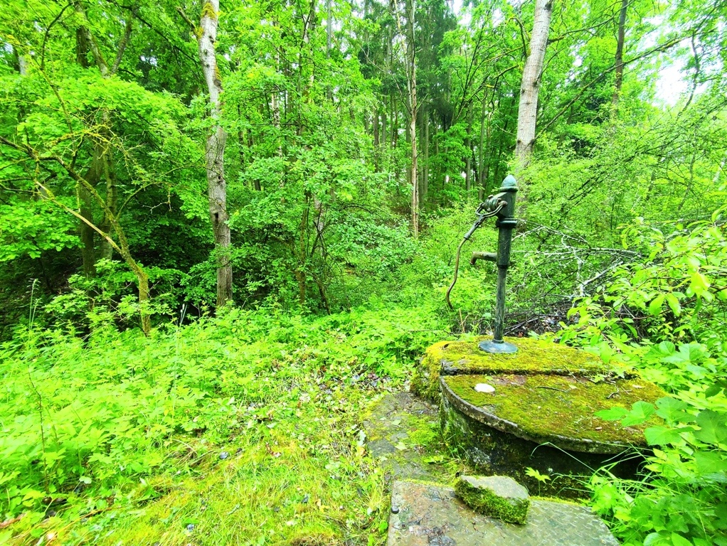 Prodej chaty 65 m2, Erpužice-Malovice u Hracholuské nádeže - 15