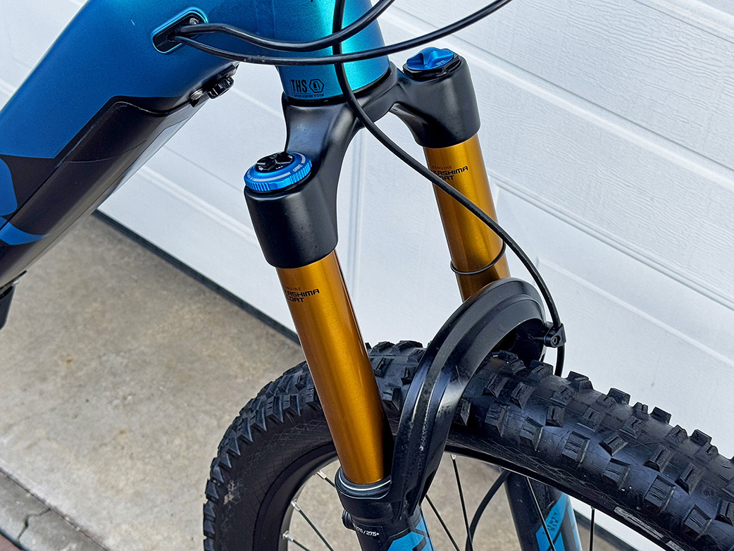 RAYMON FULLRAY 10.0 – GOLD FOX – KASHIMA TOP ŘADA - 15