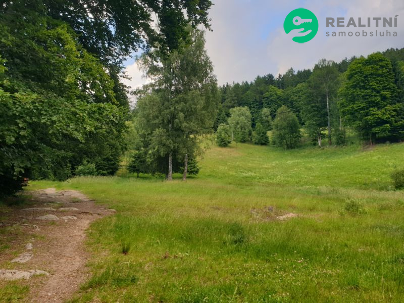 Dům či dva apartmány Desná - 15