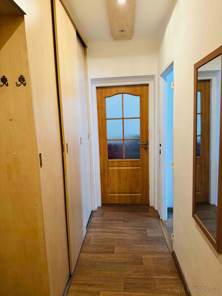 Prodej, byt 2+1, 56m2, ul. Smrková, Plzeň - město - 15