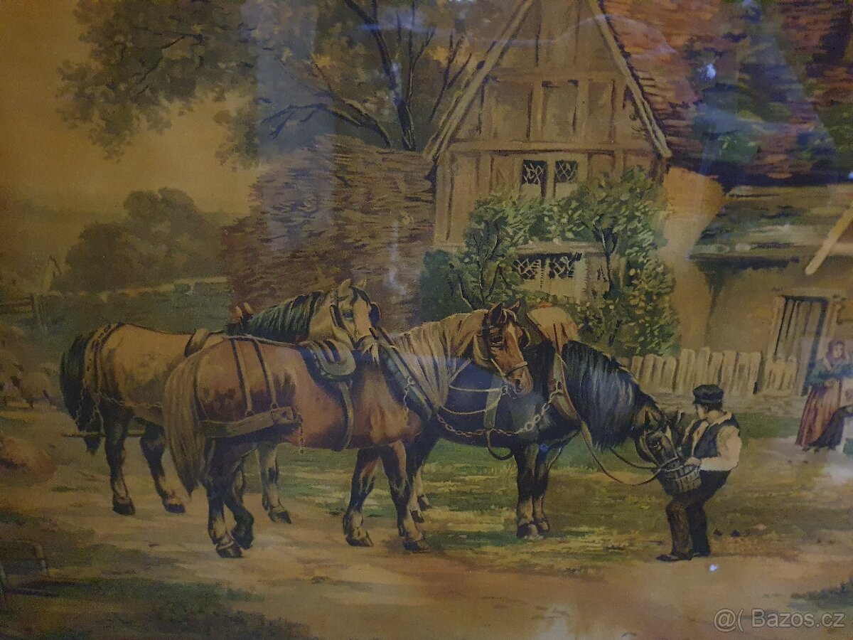 Obrazy portréty - 15