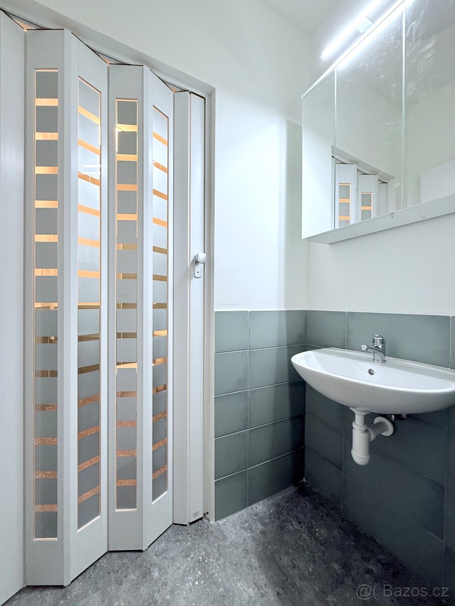 Pronájem bytu 1+kk, Ostrava - Přívoz - 15