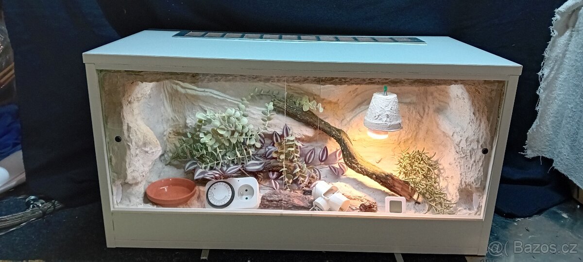Terárium - 15