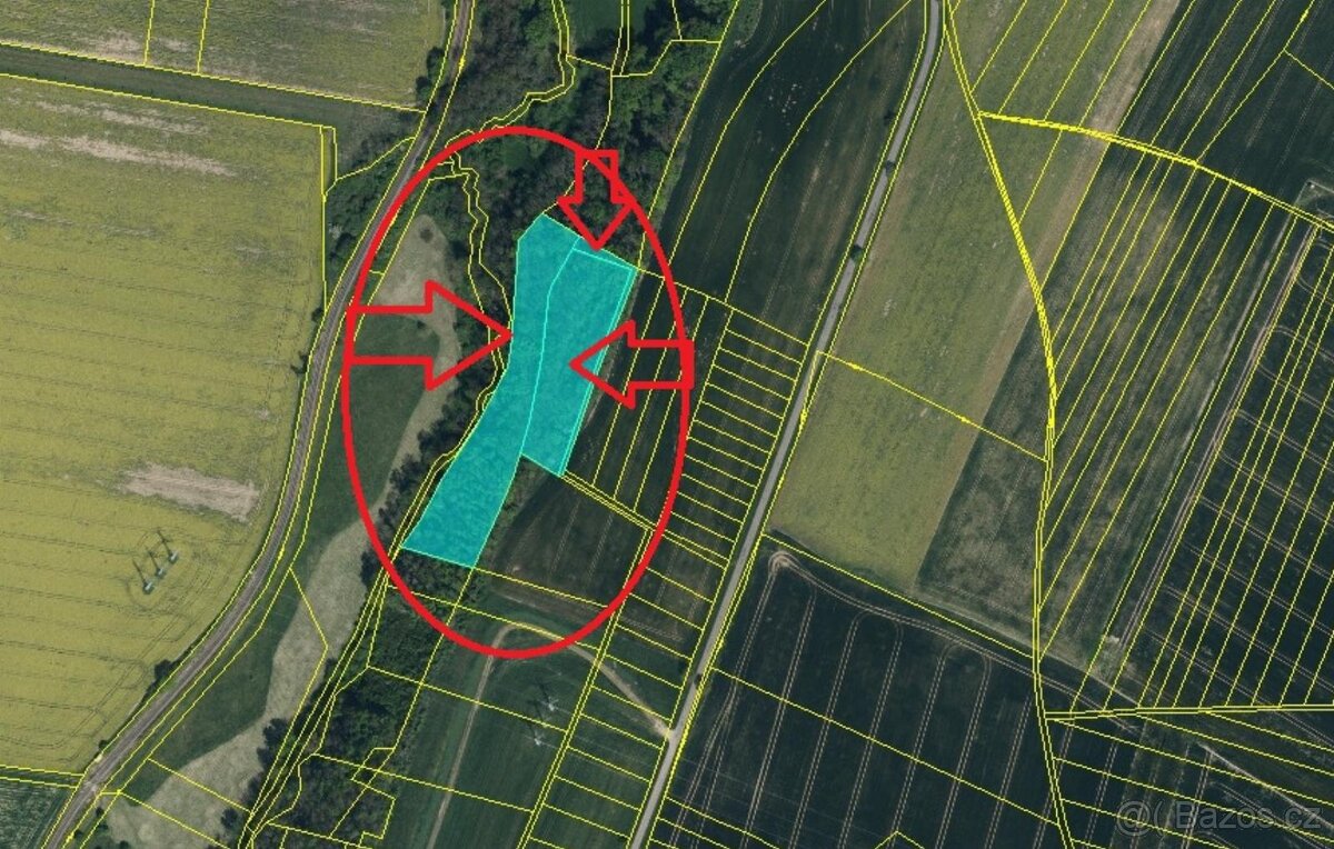 Prodej pozemků v k.ú. Jeníkovice u Choltic - 15