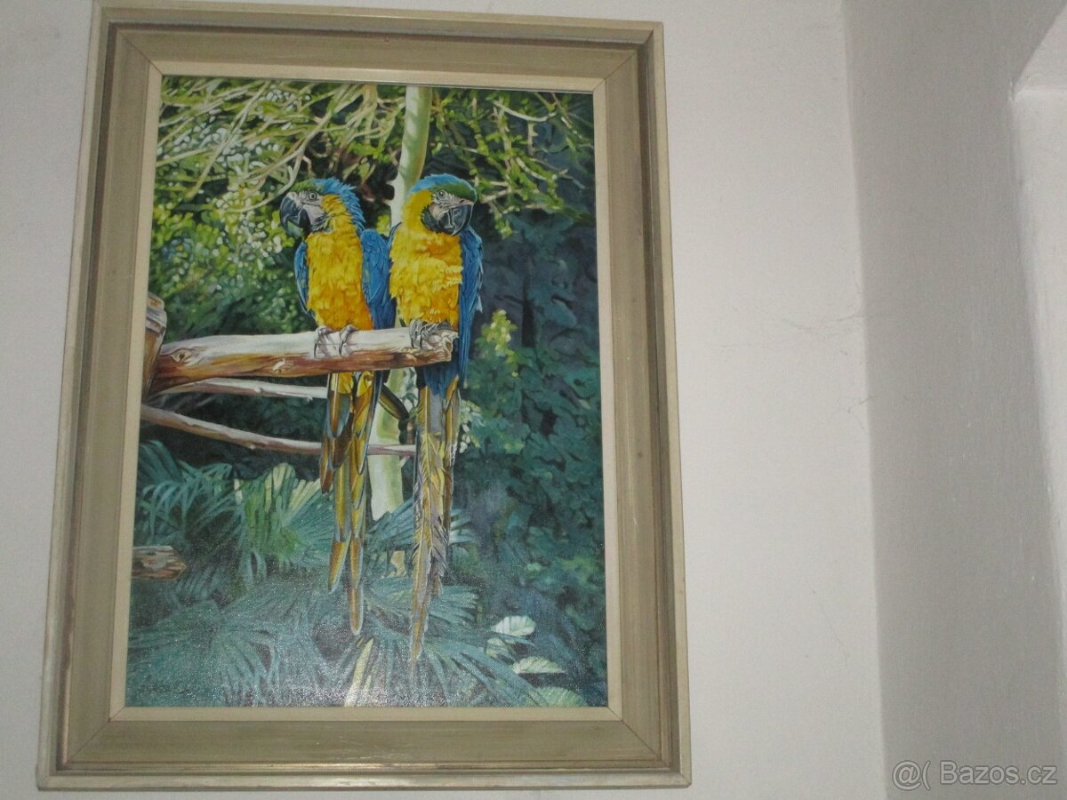 Realistické obrazy-ruční malba-olejomalba - 15