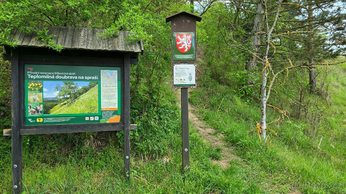 Stavební pozemek o výměře 781m2, v obci Milovice u Mikulova - 15