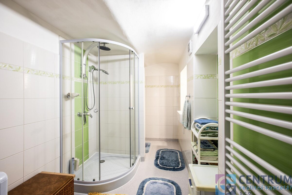 Prodej rodinného domu 250 m2, pozemek 1206 m2 - 15