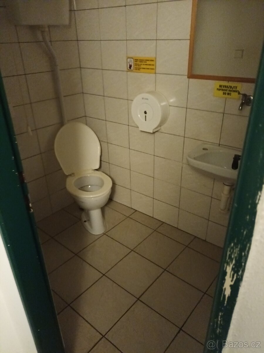 Pronájem nebytového prostoru v Boršově - 15