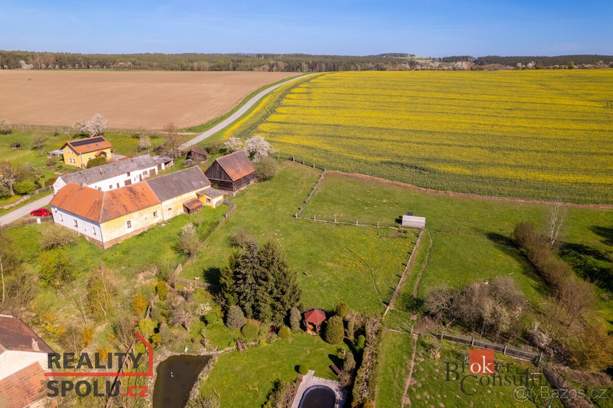 Prodej, domy/zemědělská usedlost, 150 m2, Hodoviz 13, 33101 - 15