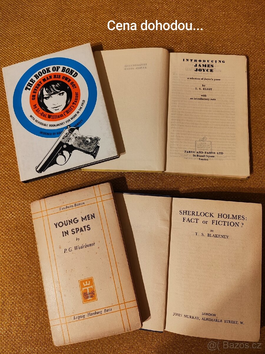 Knížky v angličtině - 15