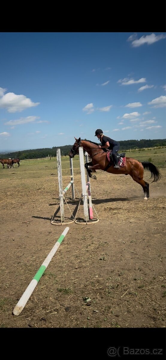 Docházka ,výuka ,pronájem - 15