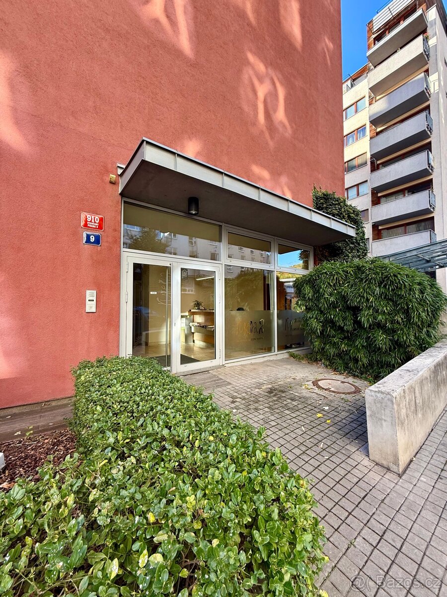 Pronájem bytu 1+kk (44m + 4m balkón) - 15