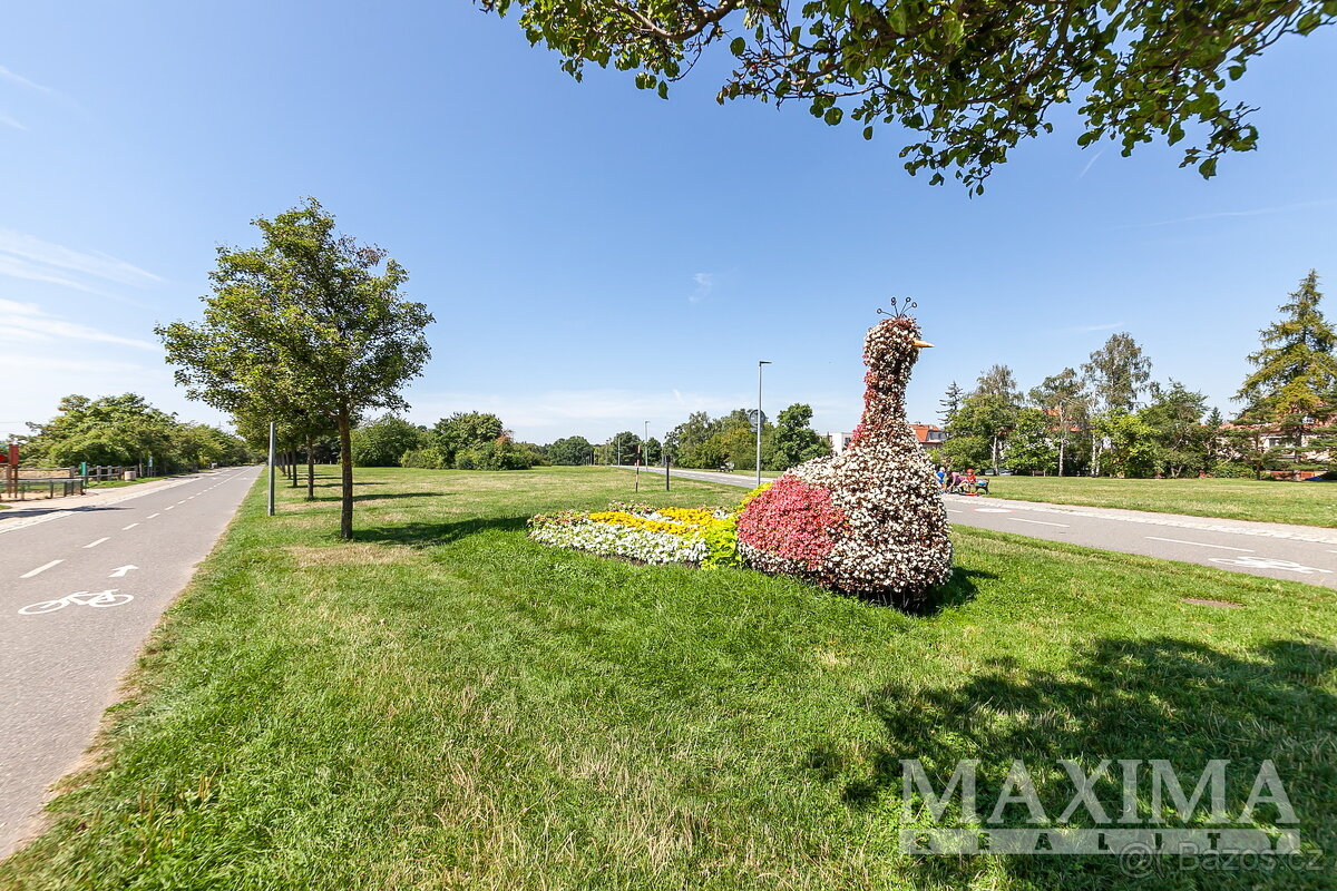 Pozemek o ploše 925 m2 - Praha, Břevnov - 15