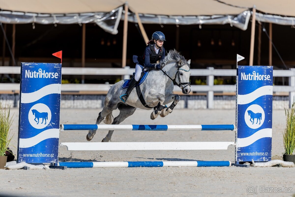 Sepík - stáj, kde se váš talent rozvine naplno - 15