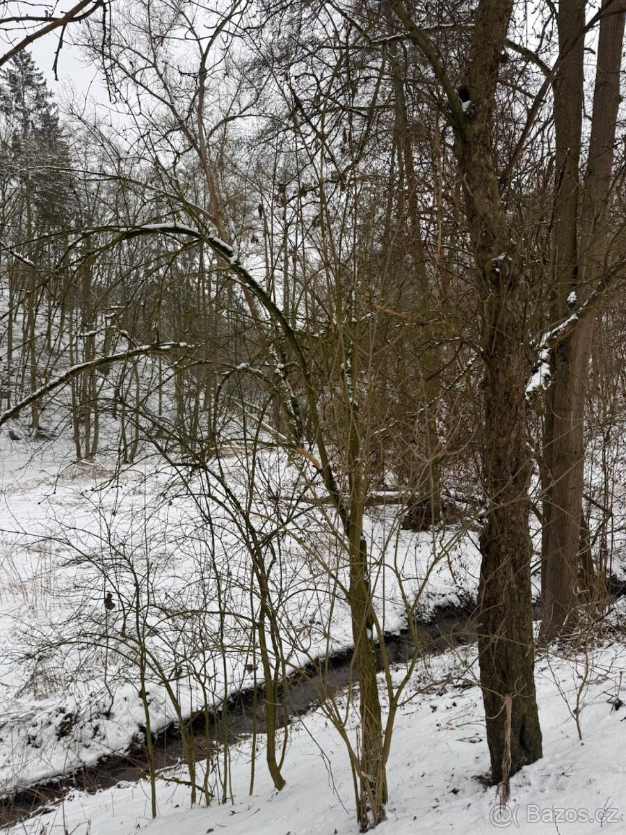 Prodej pozemků k.ú. Chotiměř + k.ú. Velemín - 15