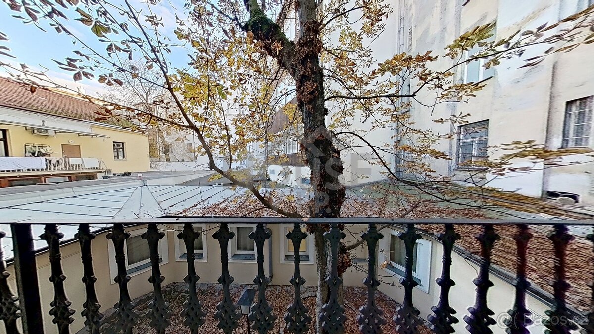 Prodej bytu 1+ kk 29 m², Praha 3 - Žižkov, ev.č. 01041-1 - 15