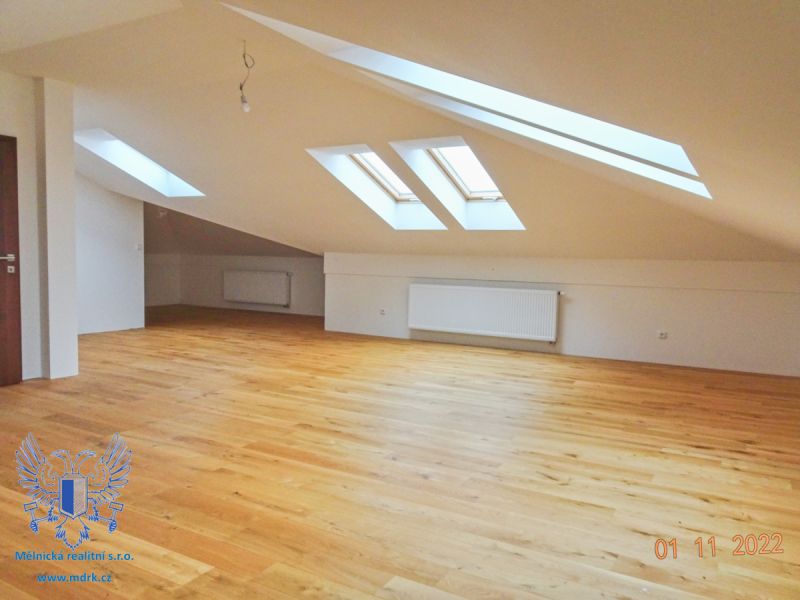 Prodej luxusní vily Mělník - 15