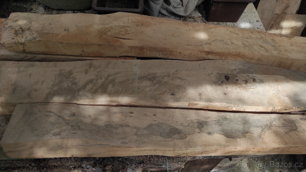 Staré suché listnaté dřevo - 15