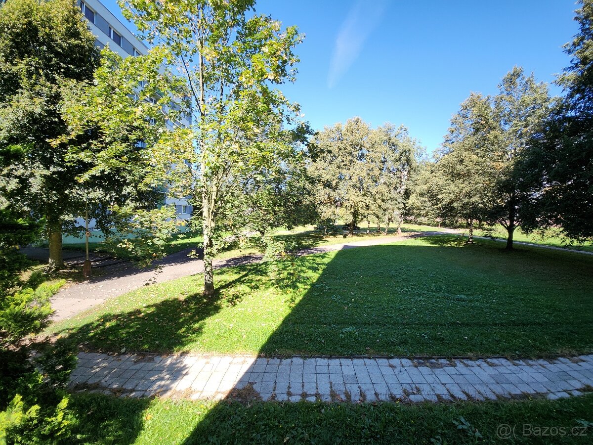 Prodej bytu 3+1, 61 m², Pomněnková ul., Trutnov - 15