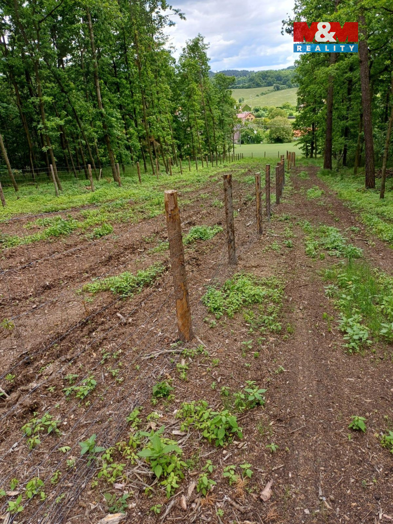 Prodej lesa, 9634 m², Hrazany - 15