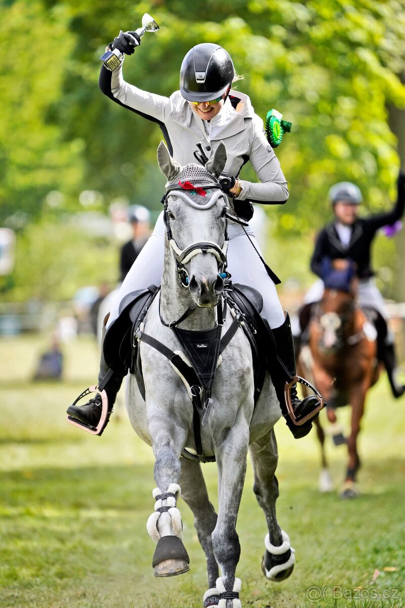 8 letá klisna do sportu - 15