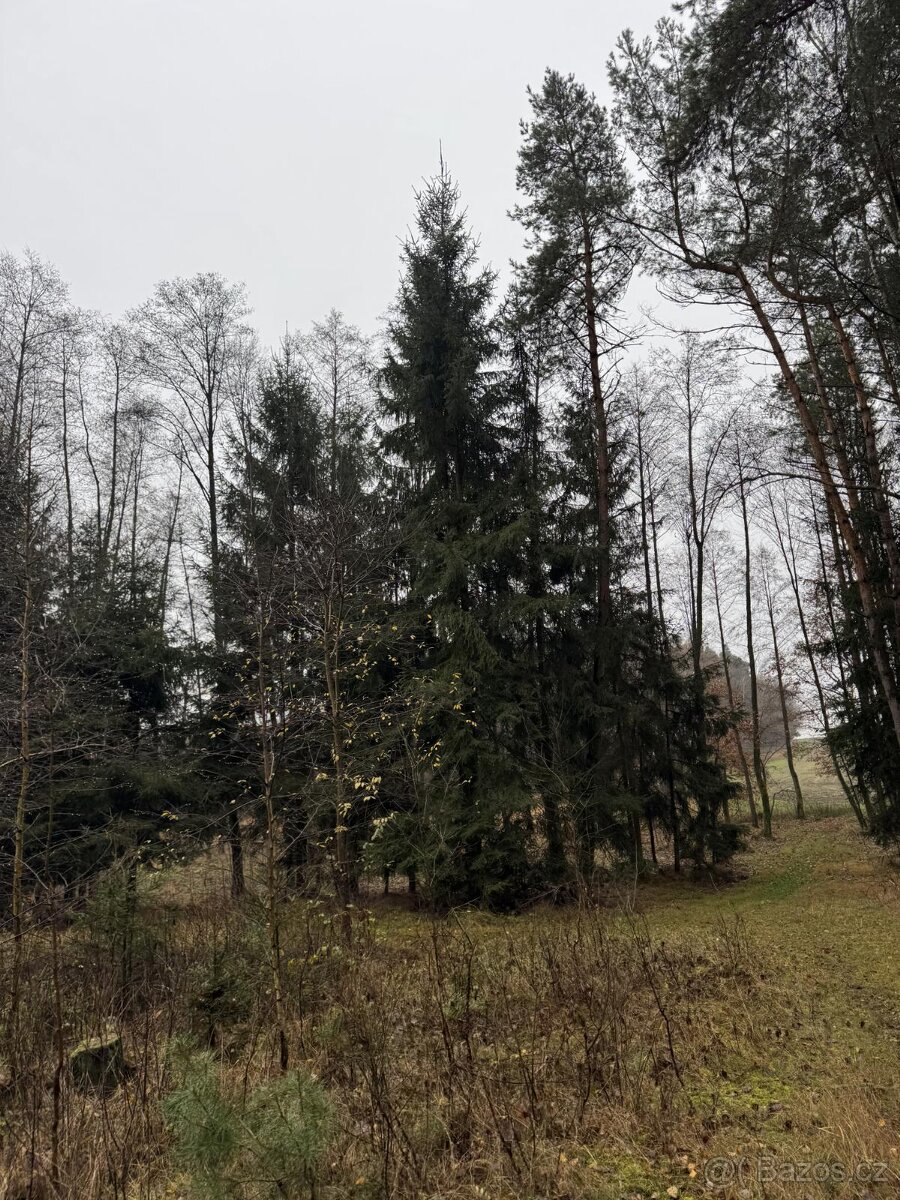 Prodám pozemky v k.ú. Veliny - 15