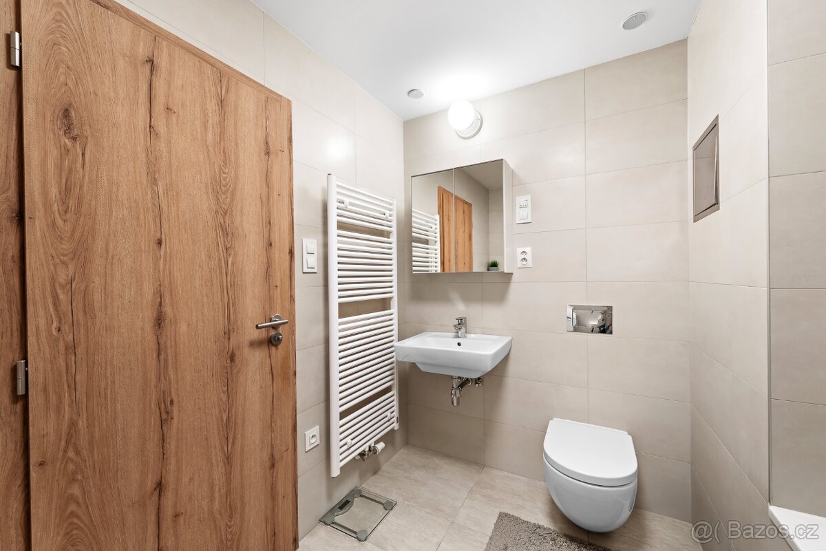 2+kk Praha 3 + parking - 15