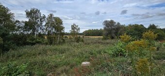 Prodej zahrady 3.737 m² v Borku - 15