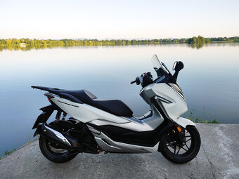 Honda Forza 300, původ ČR,  perfektní stav - 15