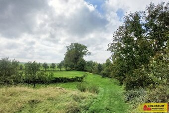 Bohdalice-Pavlovice, RD 3+1, zahrada, dvorek, k rekonstrukci - 15