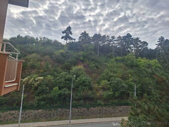 Pronájem bez RK bytu 2+1 Brno Veveří ulice Úvoz - 15