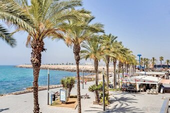 Torrevieja, Parque de las Naciones 3+KK 119.900 EUR - 15