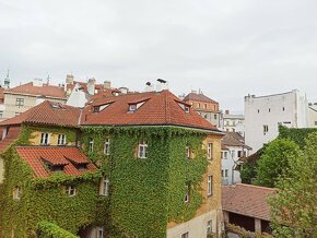 Zařízený byt 2+kk, Praha 1 - Staré město - 15