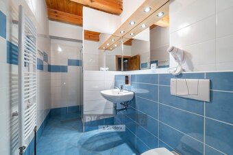 Prodej penzionu (užitná plocha 2 308 m2) - Žabovřesky (pozem - 15