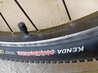 SCOTT 16 CONTESSA JR 24 - 15