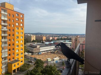 Pronájem, Byty 1+kk, 33 m² - Plzeň - Bolevec, ev.č. 00039-1 - 15
