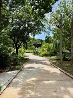 2BD&2BT Wooden Bungalow Diamond Hill Resort, Roatan - 15