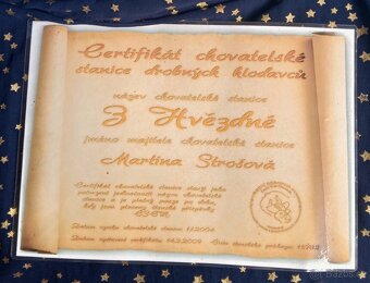 Morčátka CHS Z Hvězdné Liberec - 15