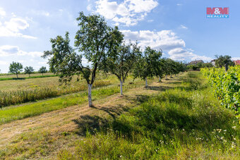 Prodej rodinného domu, 80 m², Jalubí - 15
